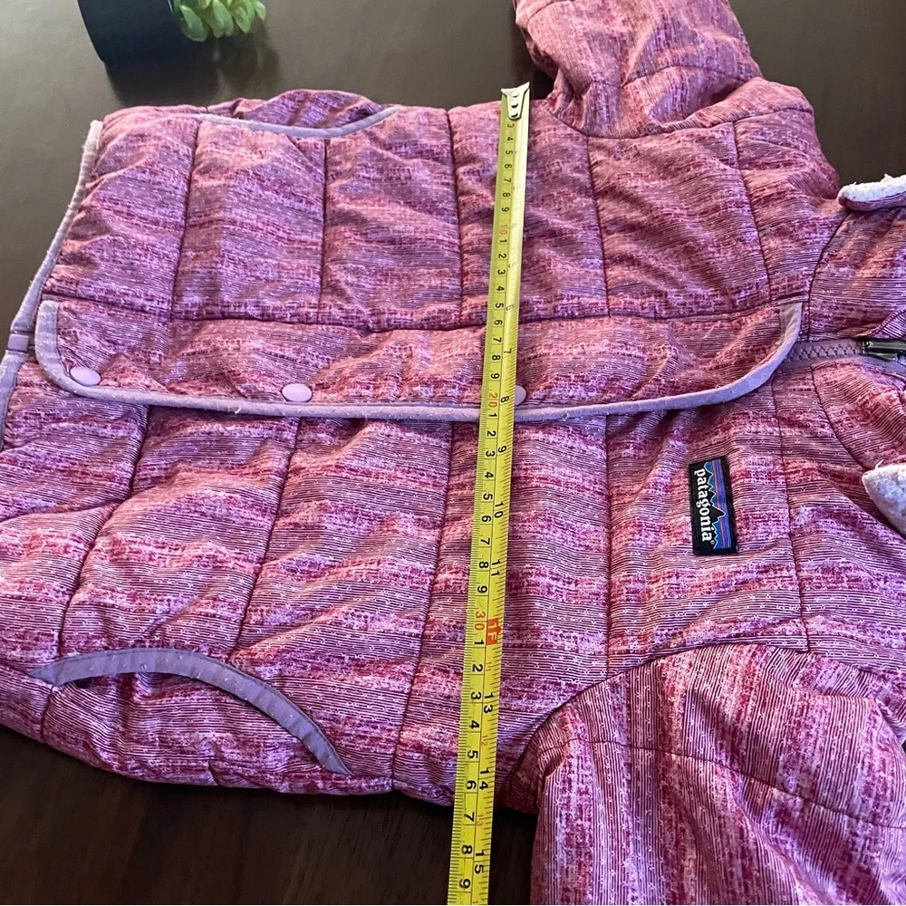 Patagonia Pink Reversible Dream Song Hoody Jacket Size 4T